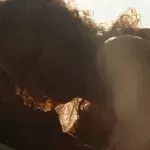 If your favourite position is 69, this is what it says about you