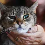  Lost For Two Years,