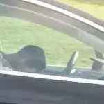 Man falls asleep at the wheel of his Tesla on the highway