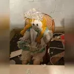 Man finds creepy doll and eerie note inside wall of new home