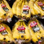 Man terrified to find ‘most venomous’ spider in Sainbury’s bananas