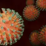 The newest South African COVID-19 strain is worrying experts