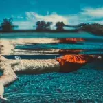 A photo reveals a close call when a man overlooks a dangerous detail in the water 