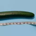 Pollution is shrinking the size of your manhood, according to experts 