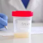 Semen colour