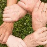 Solidarity