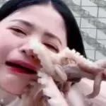 A Streamer Tried to Eat a Live Octopus and Seriously Regretted It