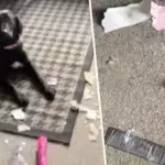 An unfortunate incident