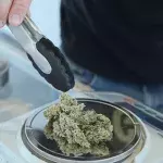 What happens when you smoke marijuana every day for 5 years?