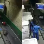 You wouldn't believe how these baggage handlers treat your luggage!