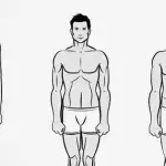 Body Type