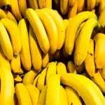 The health benefits of the humble banana