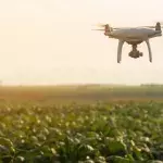 Drones Can Be Very Dangerous: Cloned Dog Becomes A Lifesaver