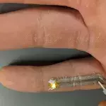 You Can Now Have Electronic Sensor Tattoos Printed Onto Your Skin