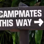 The Full Lineup For I'm A Celeb 2019 Has Finally Been Confirmed