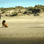 Tom Hardy's 'Last Minute' Peaky Blinders Exit