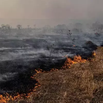Climate Change Report a ‘Code Red For Humanity’