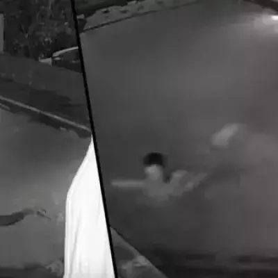 Couple attacked by crocodile in private pool