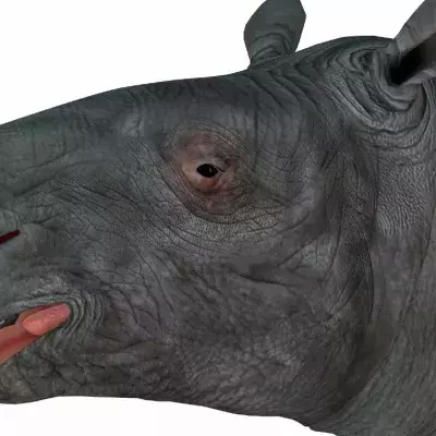 Default image