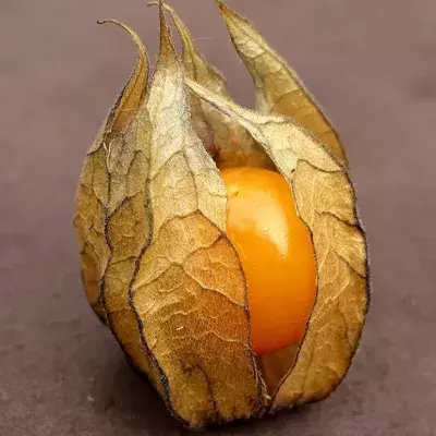 Default image