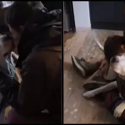 dog