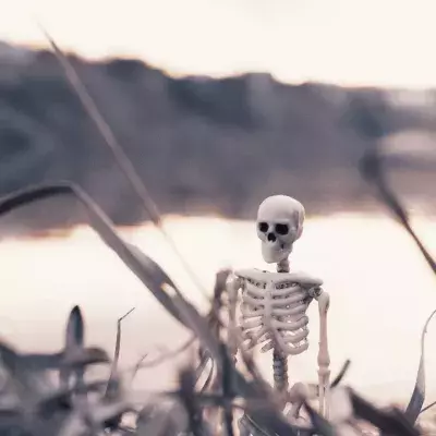 Earth at Risk: Study confirms a near man-made mass extinction