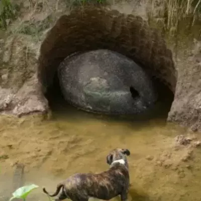 This farmer could not believe his eyes at what he found
