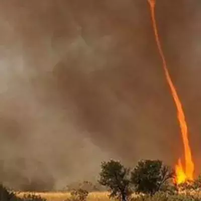 'Firenados' are a rare but very real phenomenon in Australia