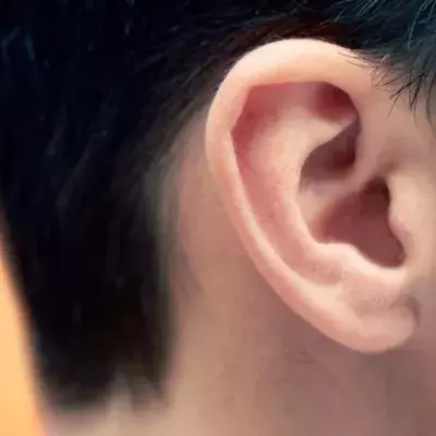 Fossils from 125 million years ago reveal why we have ears