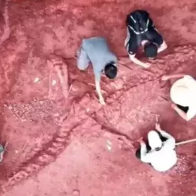 Giant Dinosaur in China