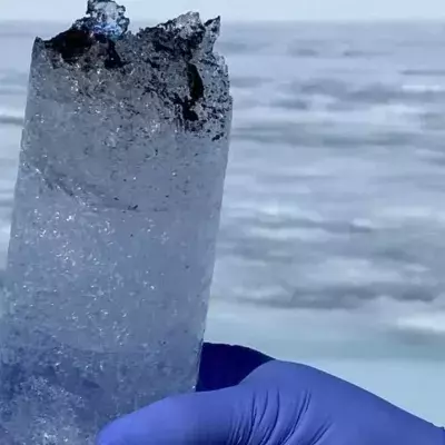 In Greenland, the spread of a 'dark zone' caused by algae worries scientists
