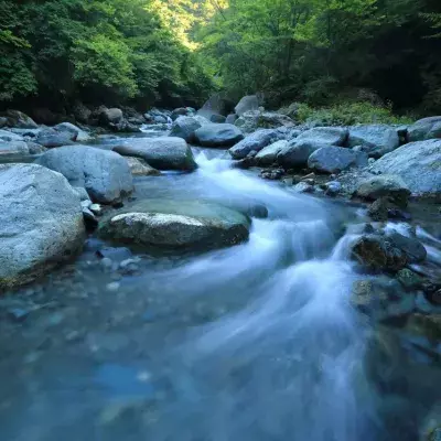 Hawaiian river that smells like beer, discovered to be ‘alcoholic’