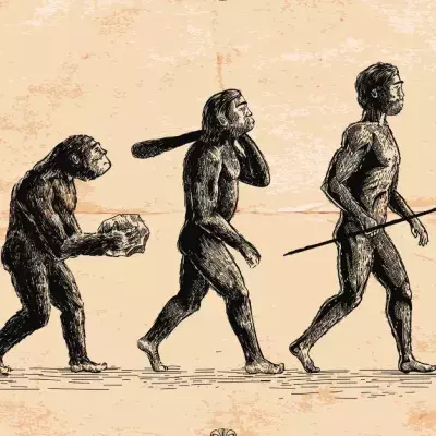 How Did Humans Learn To Walk Upright