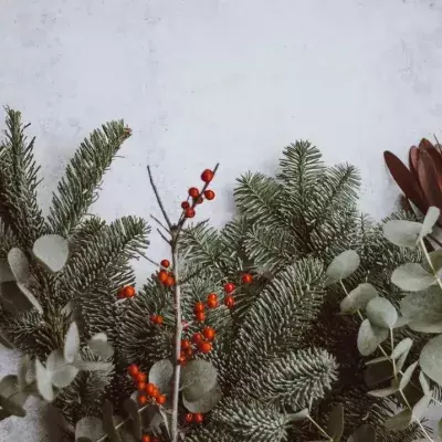 How to recycle your Christmas waste?