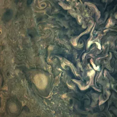 Looks like a sea shell