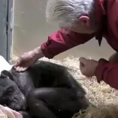 Mama