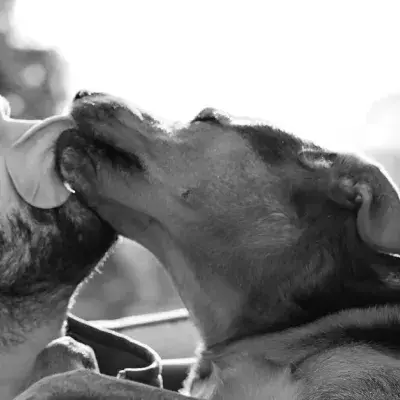 A Man Passed Away After His Dog Licked Him