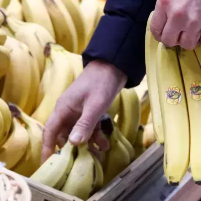 Many people have found some 'surprises' in their bananas in the past