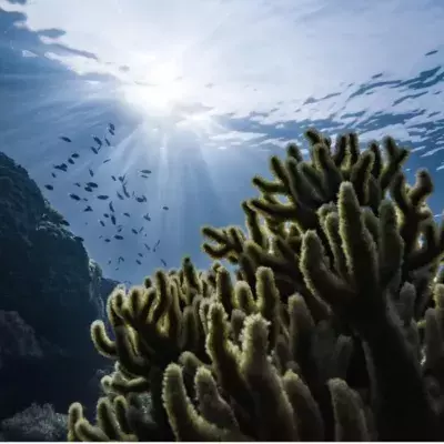 Massive 'blue hole' discovered in the heart of the Great Barrier Reef