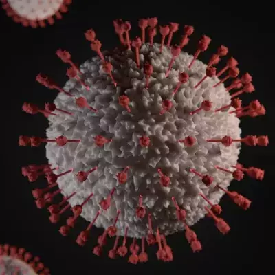 A new more infectious variant of Covid-19 emerges in England