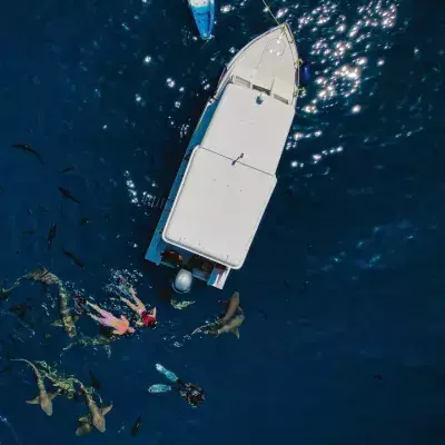 NY fishermen receive surprise of a lifetime after shark is trapped on their boat