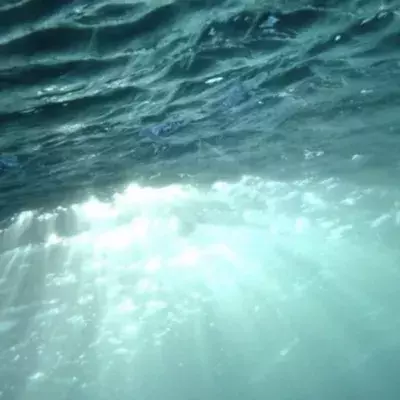 Ocean