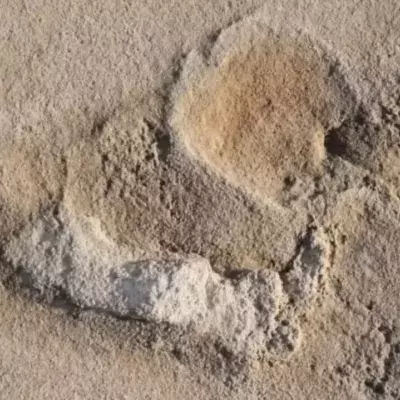 Oldest footprints of pre-humans discovered in Crete