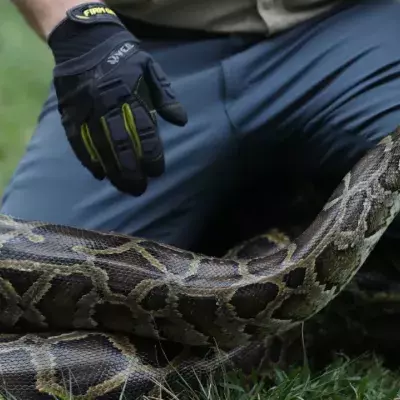 One man survived a snake after it went for his throat 