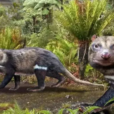Orretherium tzen