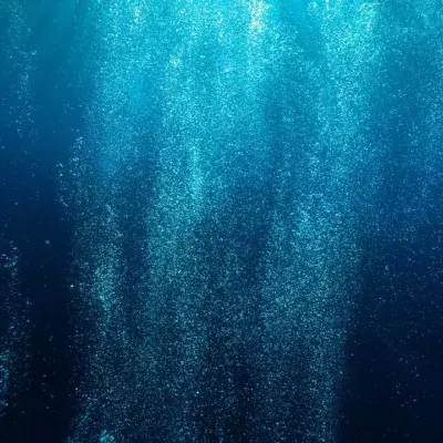 Rare shapeshifting whalefish spotted off the coast of California 