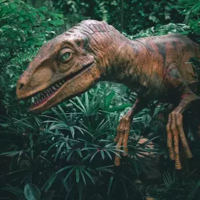 Retired doctor discovers new species of big-nosed dinosaur