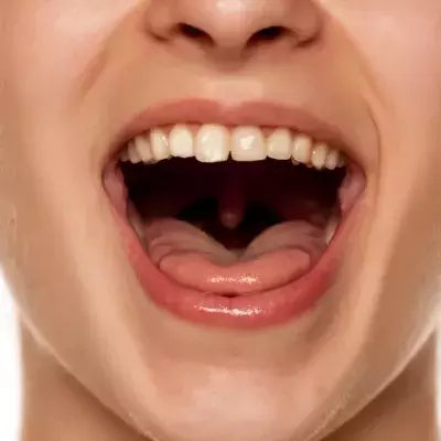 In the same way, these functions can be carried out perfectly well without the uvula