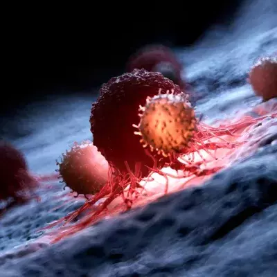 Scientists Have Discovered By Chance A Cell That Can Attack Most Cancers