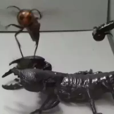 Scorpion